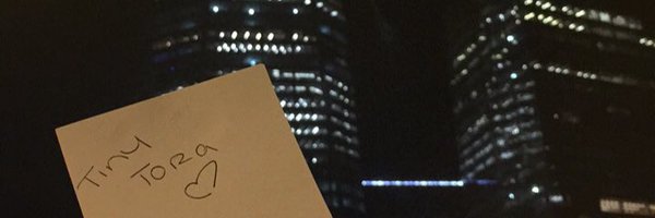 Tinytoraa Profile Banner