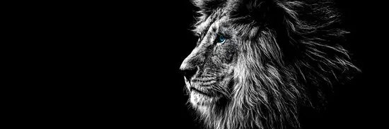 erbes_fede's profile banner image