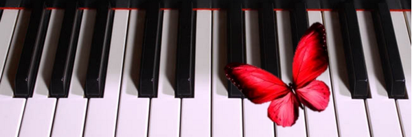 RedAdmiral_MA Profile Banner