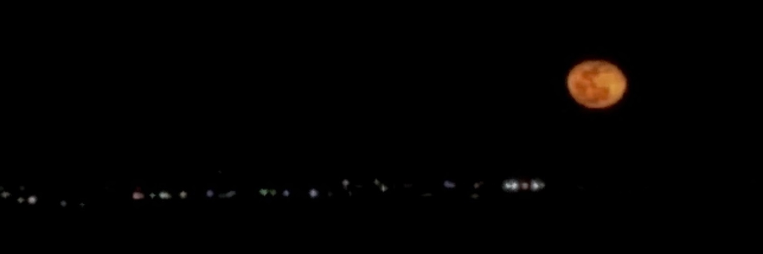 _selenamoon's profile banner image