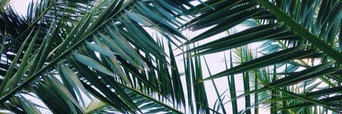 aestheticallyhs's profile banner image