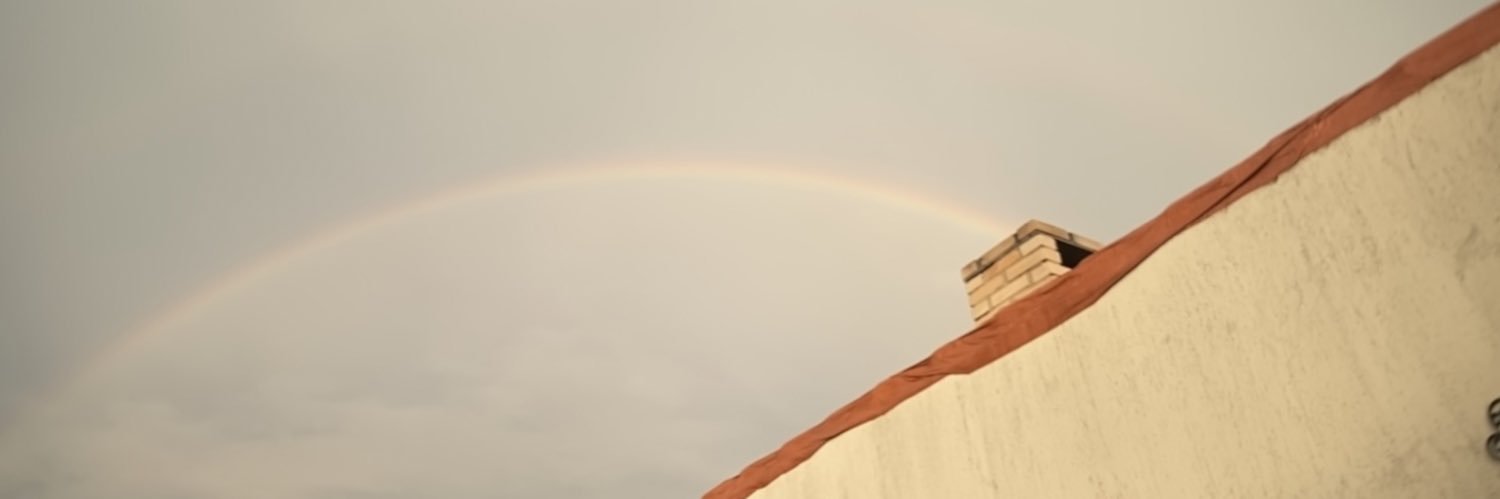 luizaramosp's profile banner image