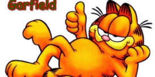 garfieee's profile banner image