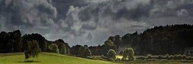 alm22330's profile banner image