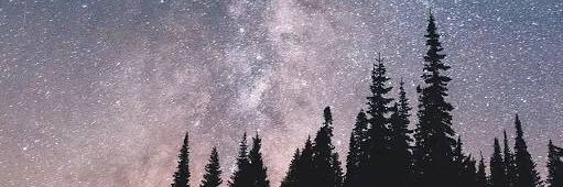 moremormormore's profile banner image