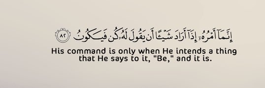 w_almohib's profile banner image