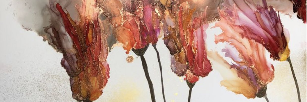 kate_johnson2's profile banner image