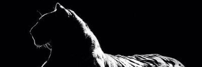 mohmmed0401's profile banner image