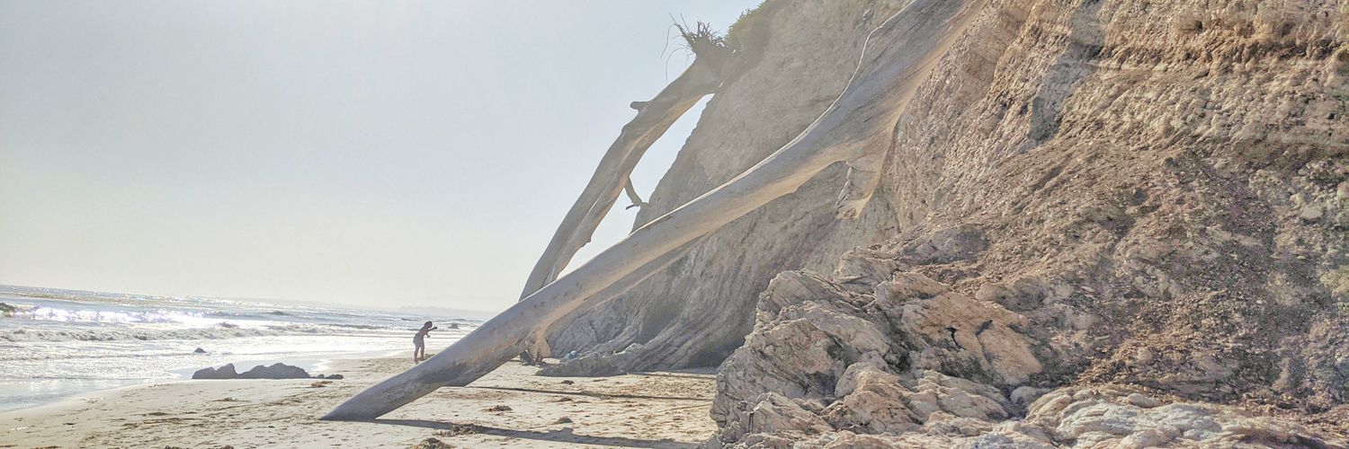 TorreyAhTye's profile banner image