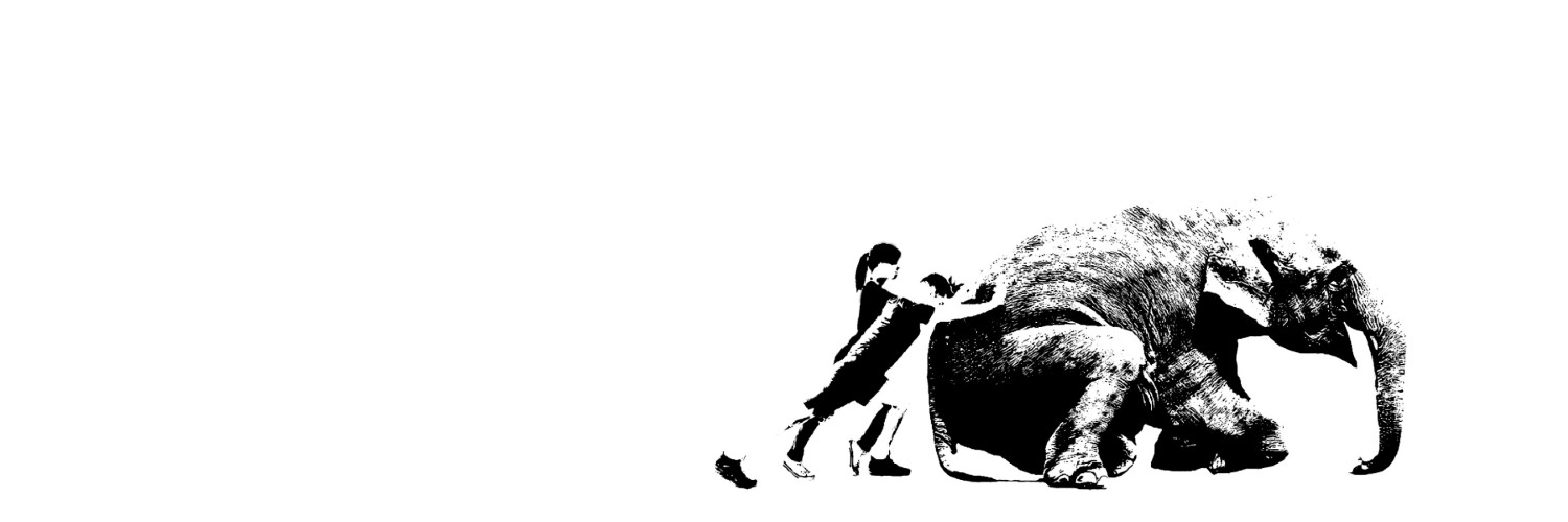 Abotsanitz's profile banner image