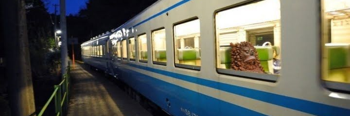 Cランチ@視力関係の人 banner