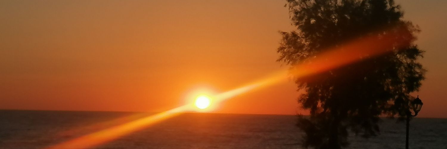 catjaybee's profile banner image