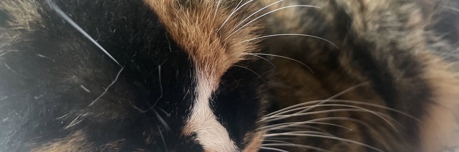 fuckyoue5's profile banner image