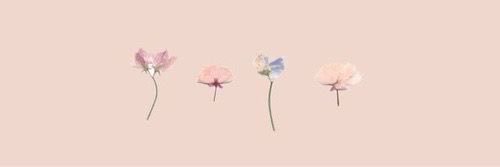 estherferrcab's profile banner image