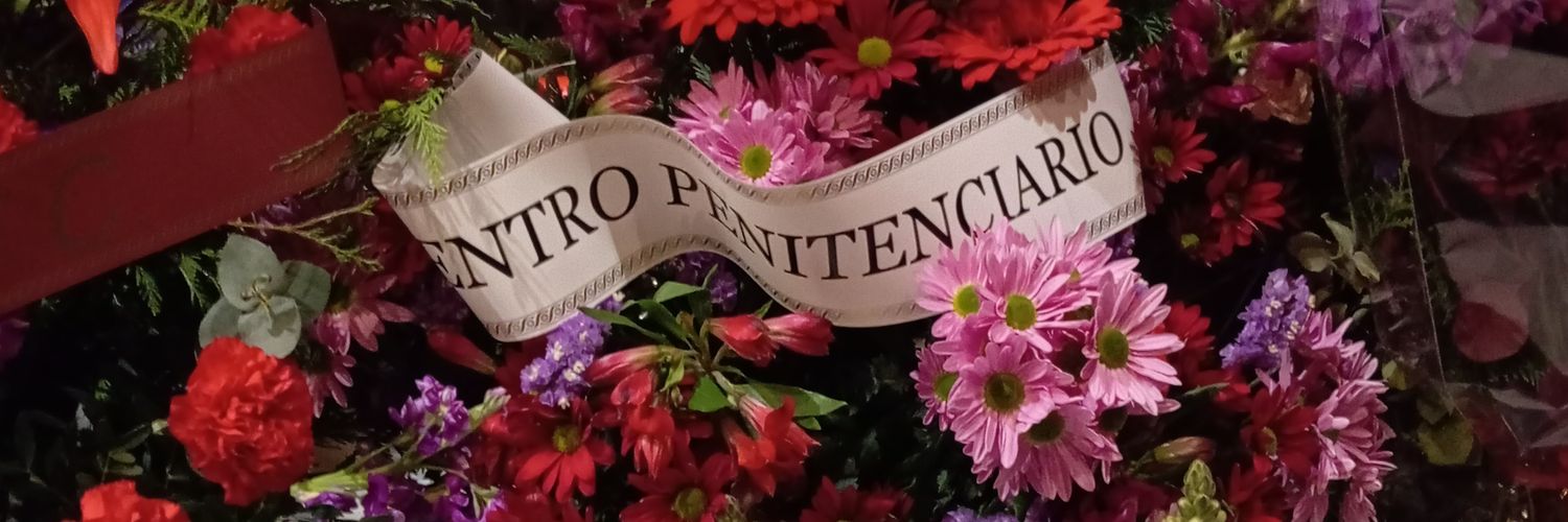 Alba_LopezR1's profile banner image