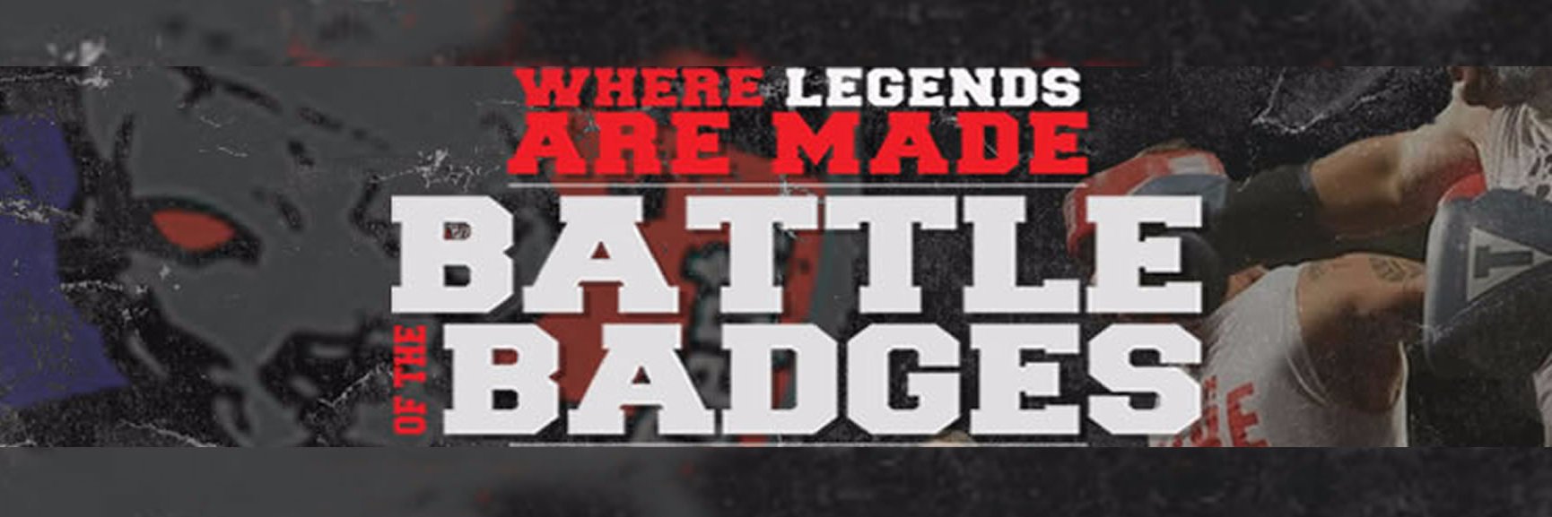BattleBadgesUSA's profile banner image