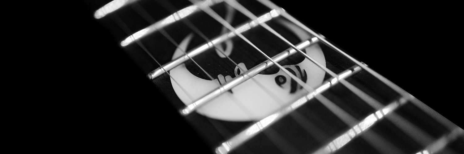 Steven Panepinto banner