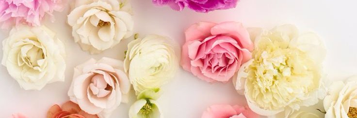 taitaguealy's profile banner image
