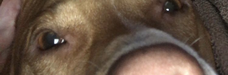 emanuelbarba63's profile banner image