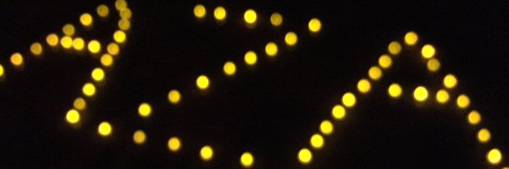 Alex Stelzer banner