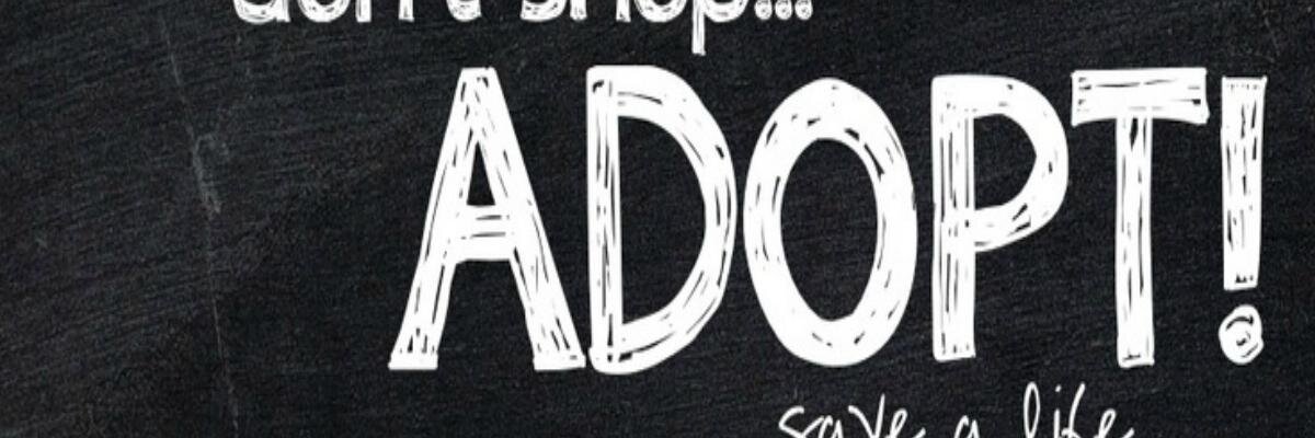 MexiMutts banner