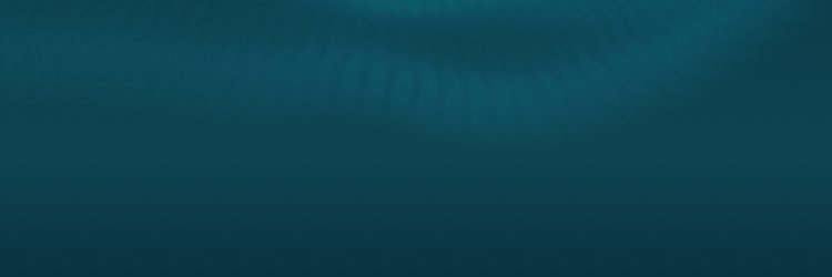 WineBoatz's profile banner image