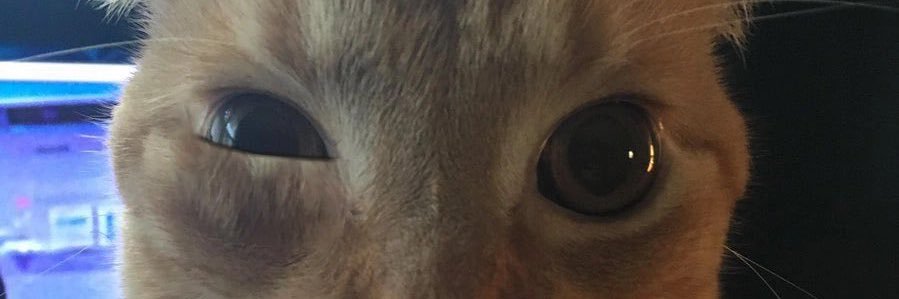 bbkaaaay's profile banner image