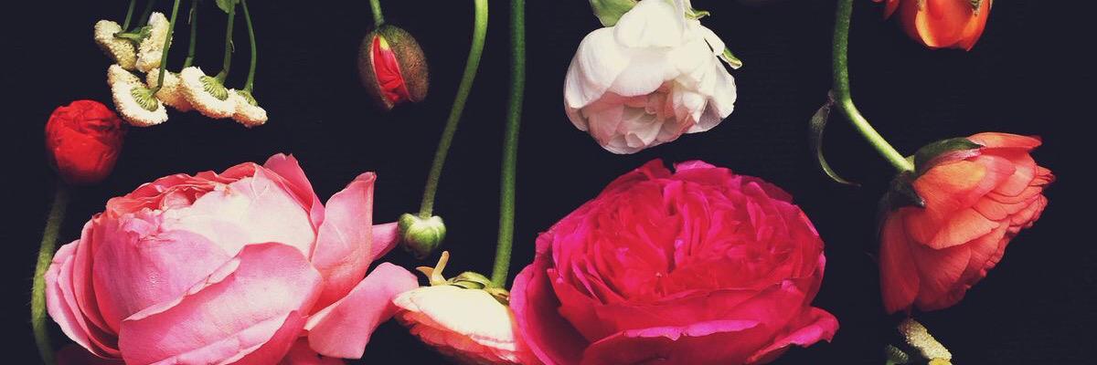 himynamesali's profile banner image
