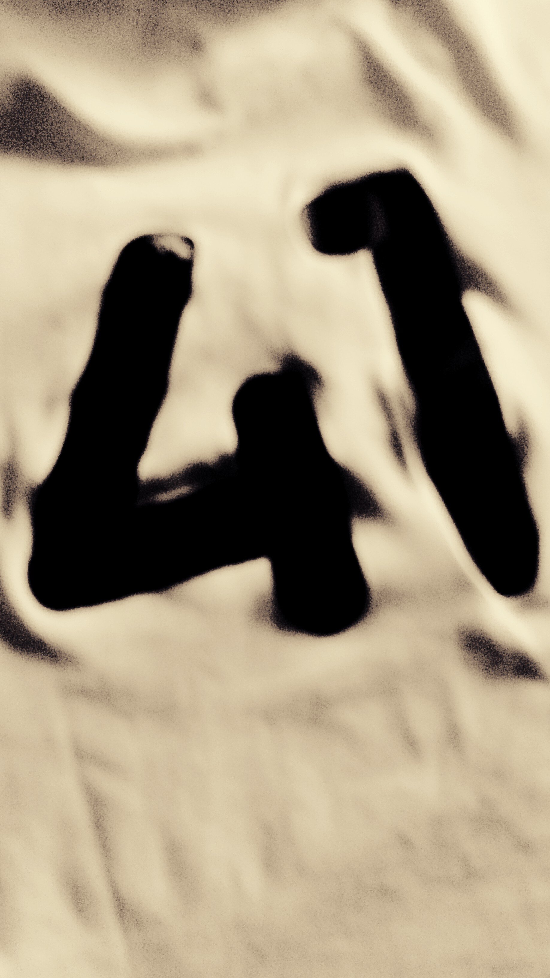 Torito41 banner