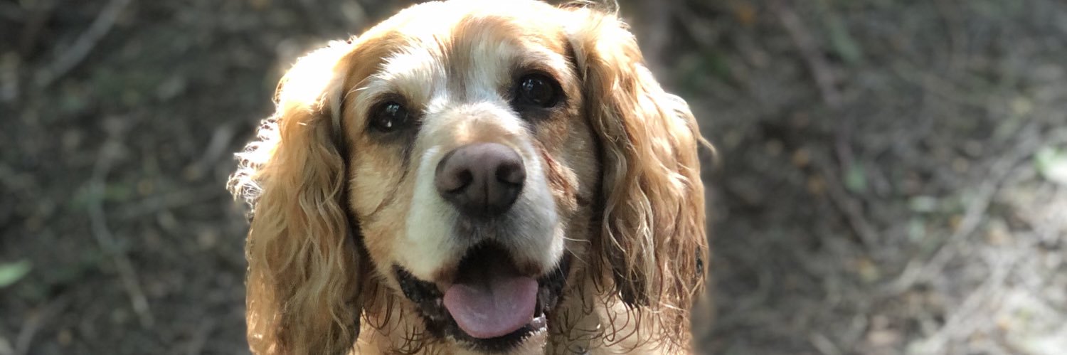 emma kempster banner