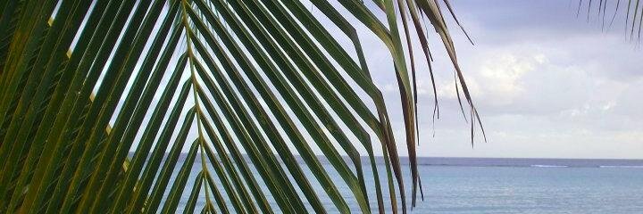 CalderoneKelly's profile banner image