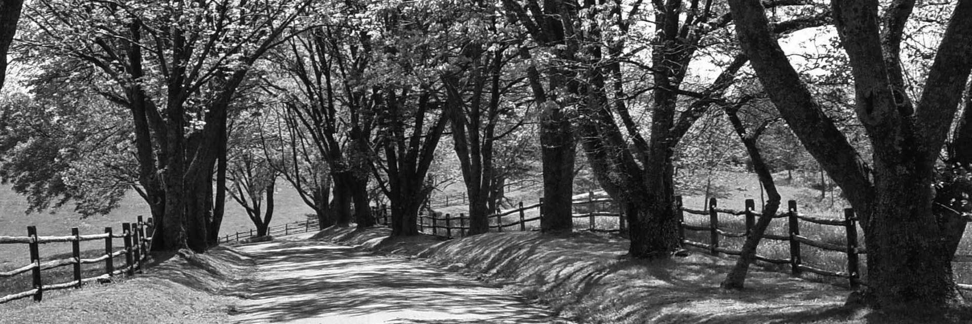 riley_shaw_'s profile banner image