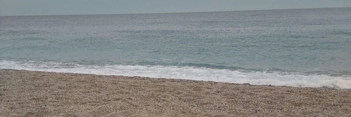 MCarmenCoca's profile banner image