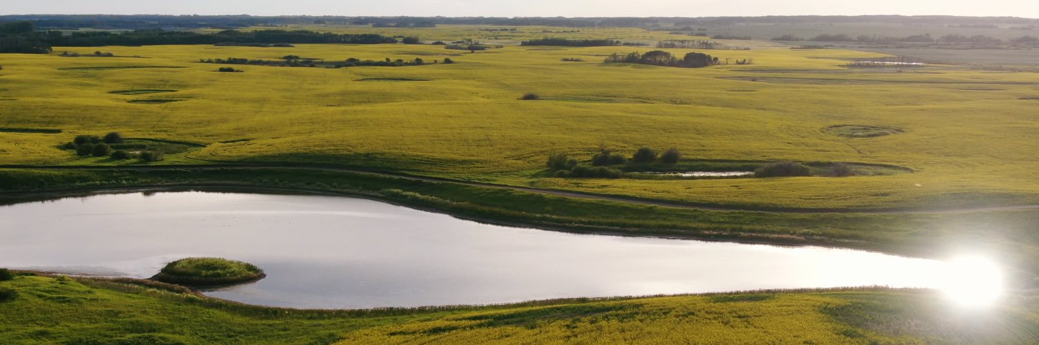 WeatherSask's profile banner image