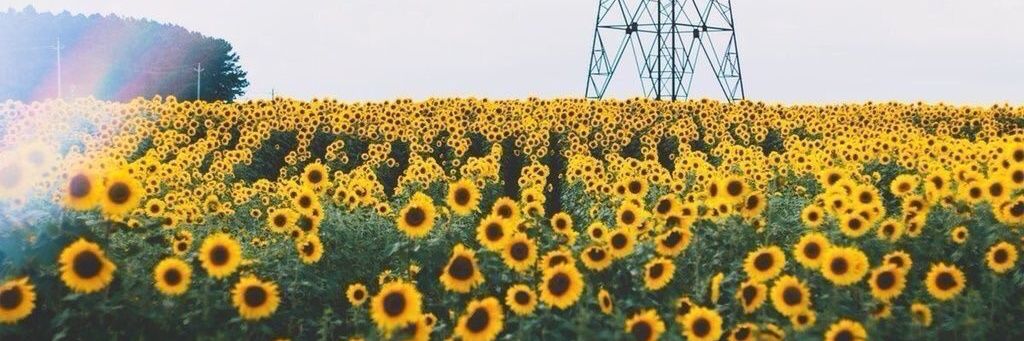 datecuentadude's profile banner image