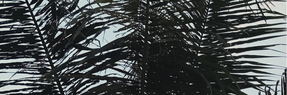 michiemey's profile banner image