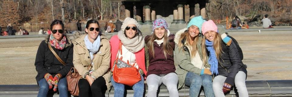 delfina merino banner