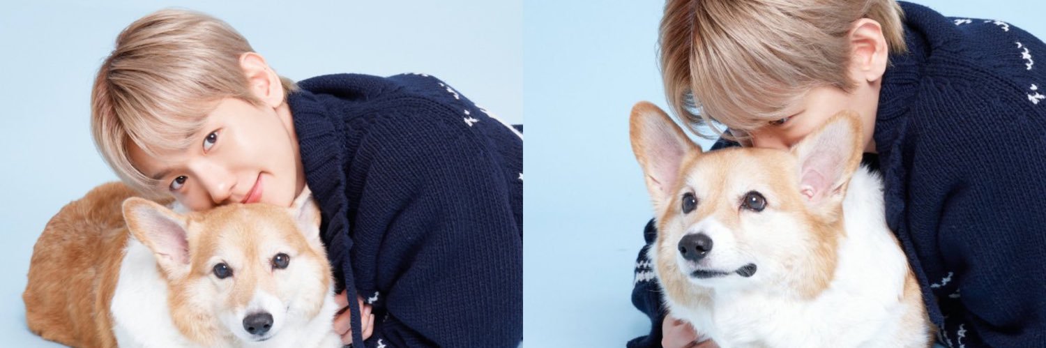 beaglebang's profile banner image