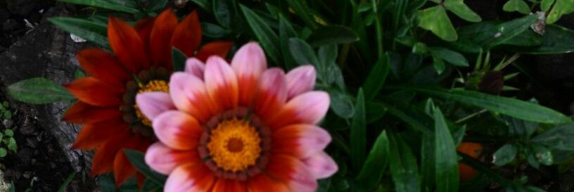YamilhetHr's profile banner image