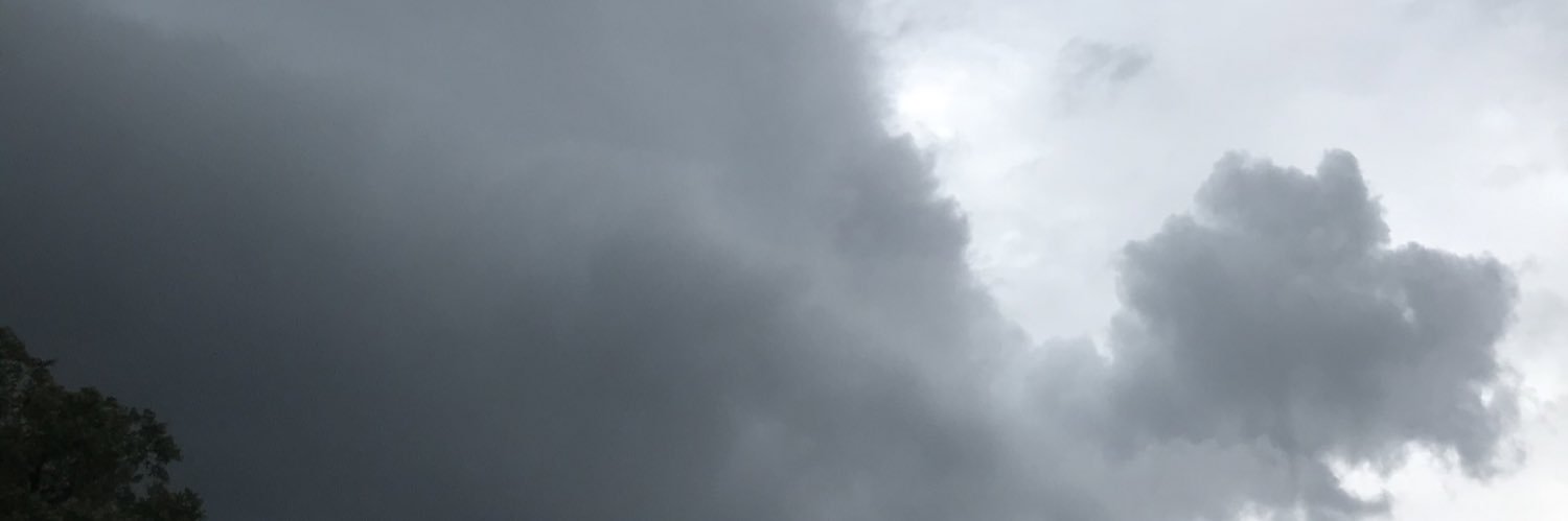 wolfchewtoy_'s profile banner image