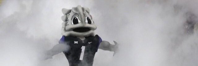 78frog's profile banner image