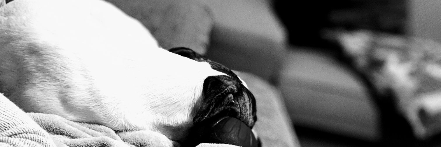 Ryan 🇺🇸🇺🇲 banner