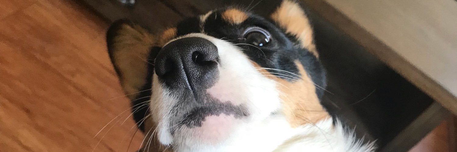 sav_king's profile banner image