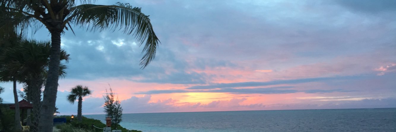mandy_mocker's profile banner image