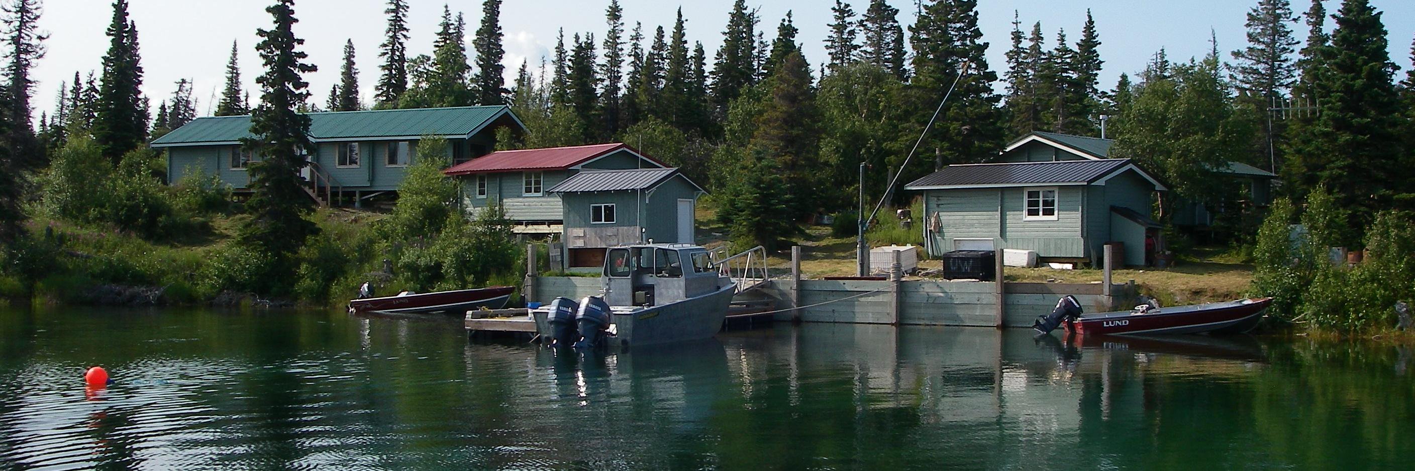 Curry Cunningham banner