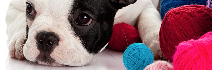 knitbynumbers's profile banner image