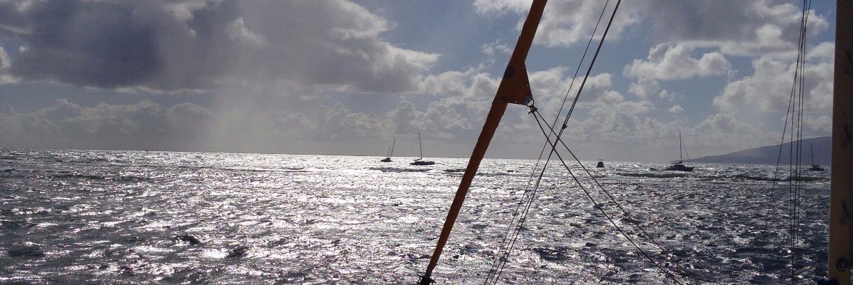 Bellinthebay's profile banner image