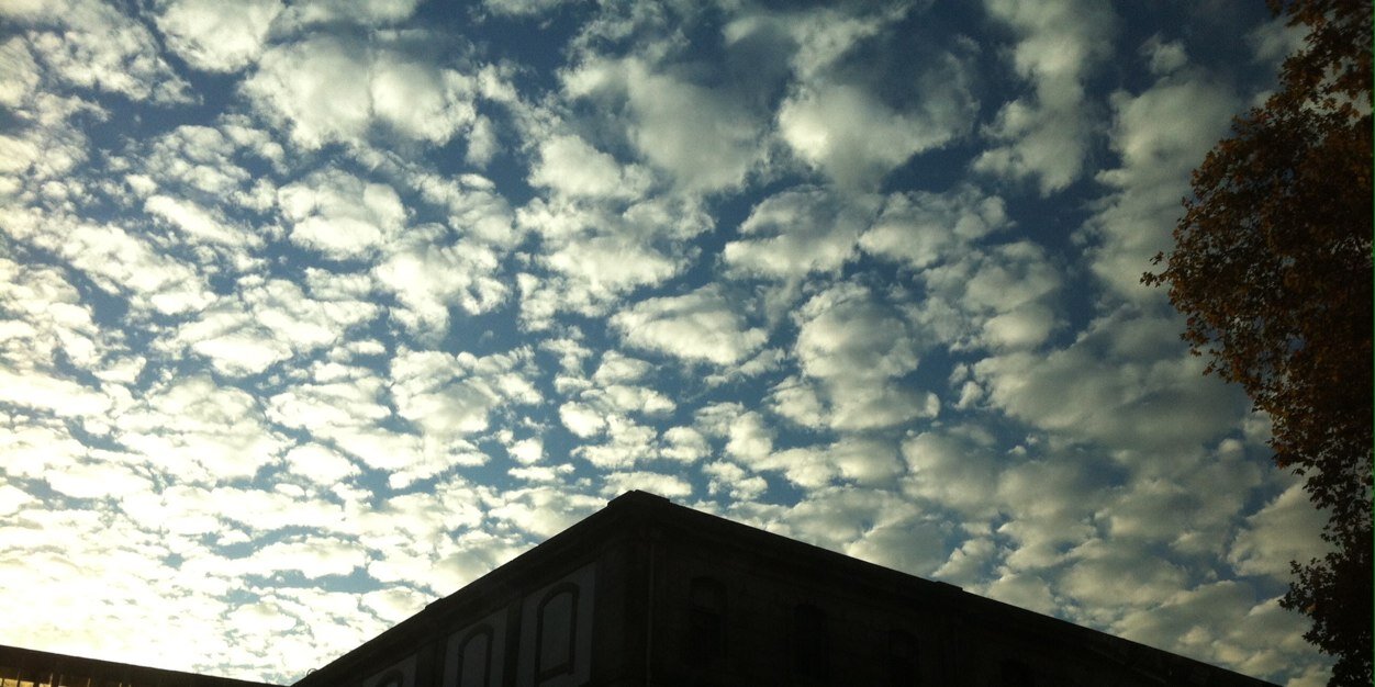 Catarina Queiroga banner