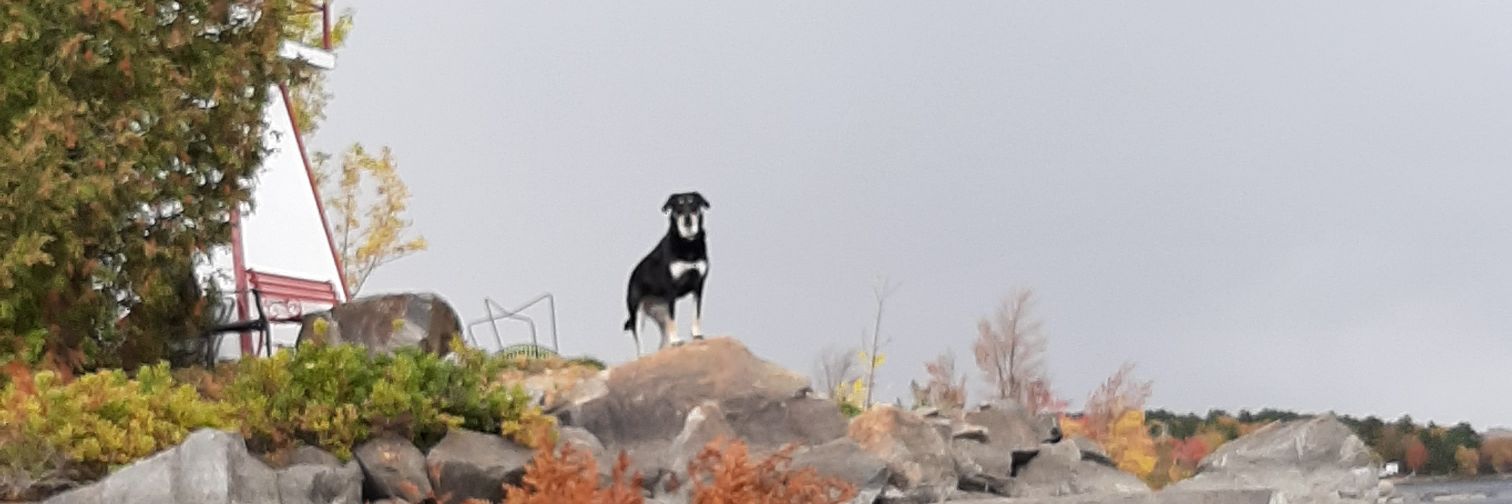 PhilipGHoffman's profile banner image
