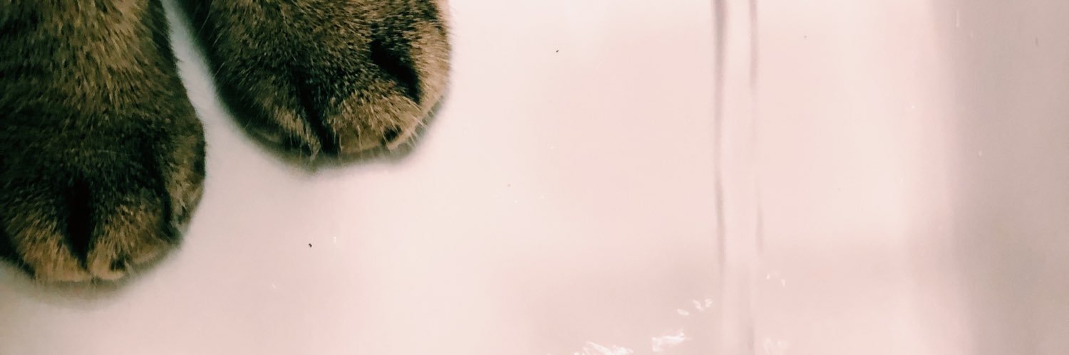 ayorxch's profile banner image